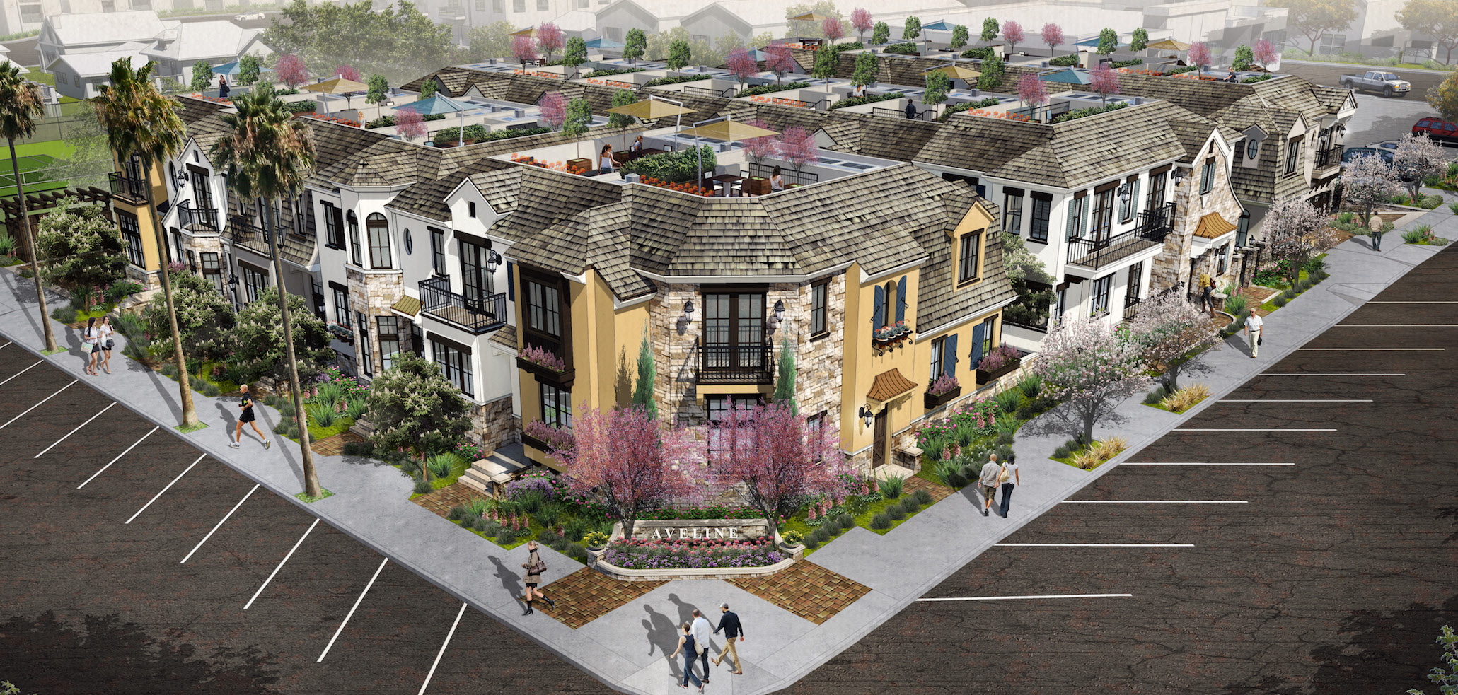 Aveline La Jolla Illustration