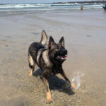 Kila at the beach