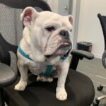 Winston Profile Shot